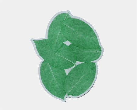 from leaf / カード D by SHOTARO TOKIOKA (9124590256293)