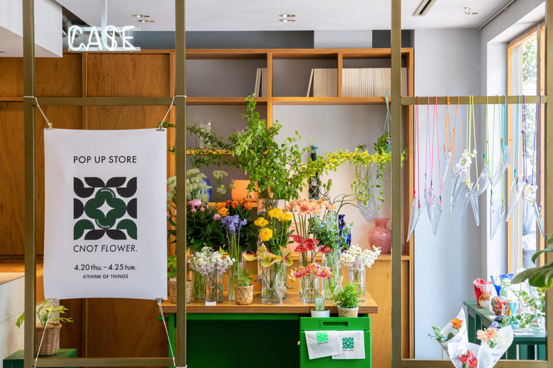 CASE Cnot flower.
