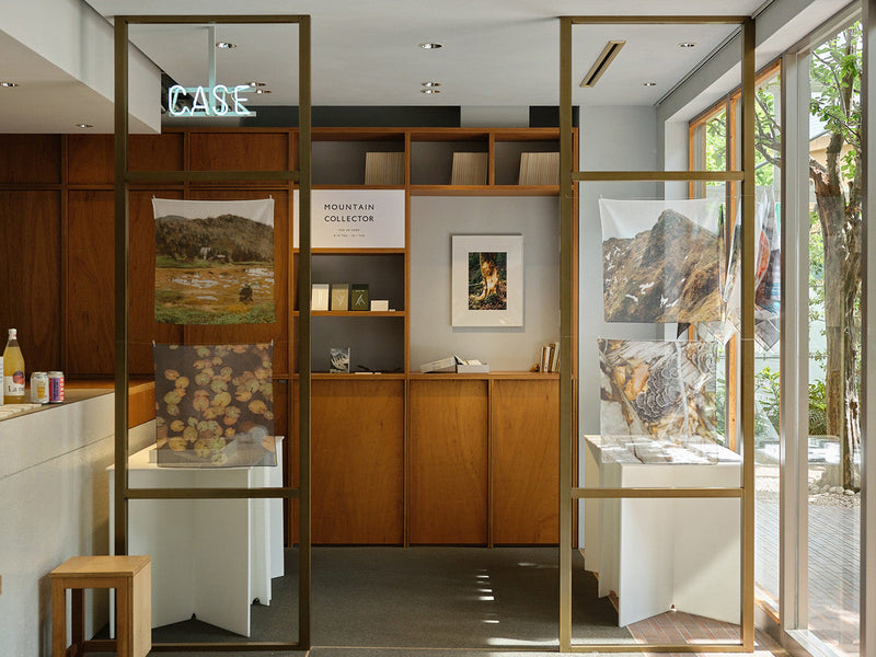 CASE MOUNTAIN COLLECTOR