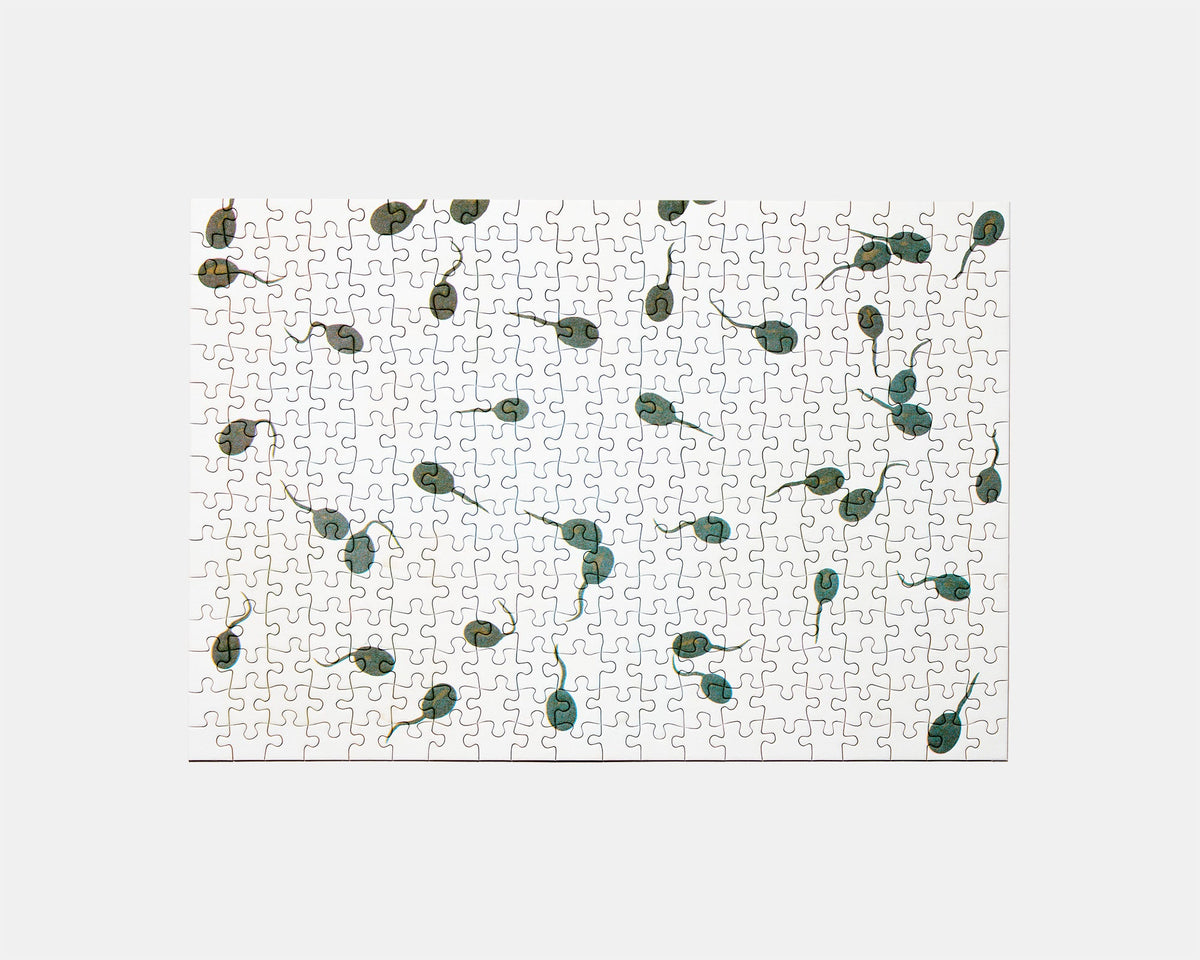 おたまじゃくし by WANG RUIYU COMPANY 2 (9124603134117)