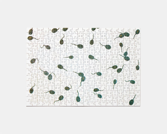 おたまじゃくし by WANG RUIYU COMPANY 2 (9124603134117)