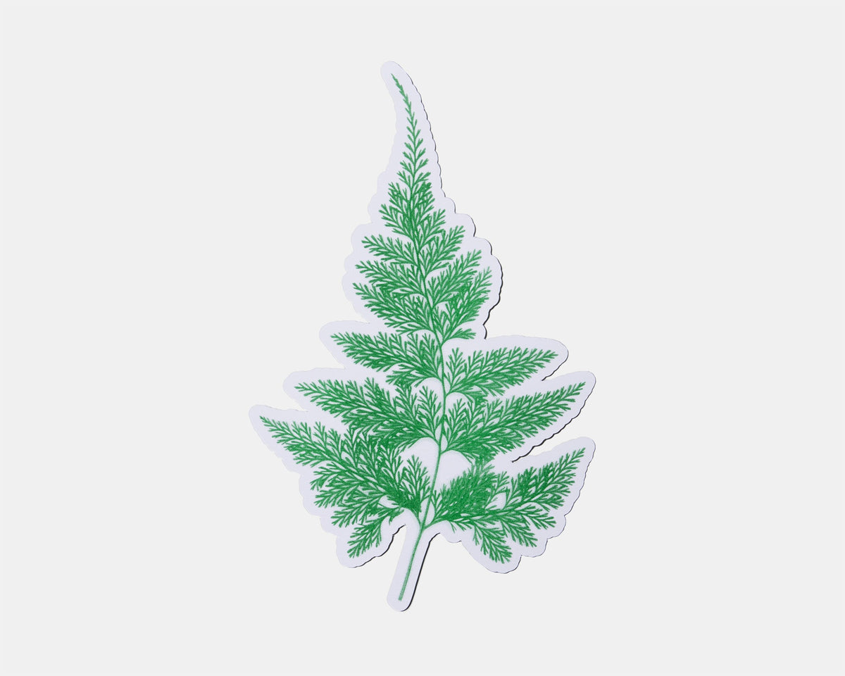 from leaf / カード B by SHOTARO TOKIOKA (9124590518437)