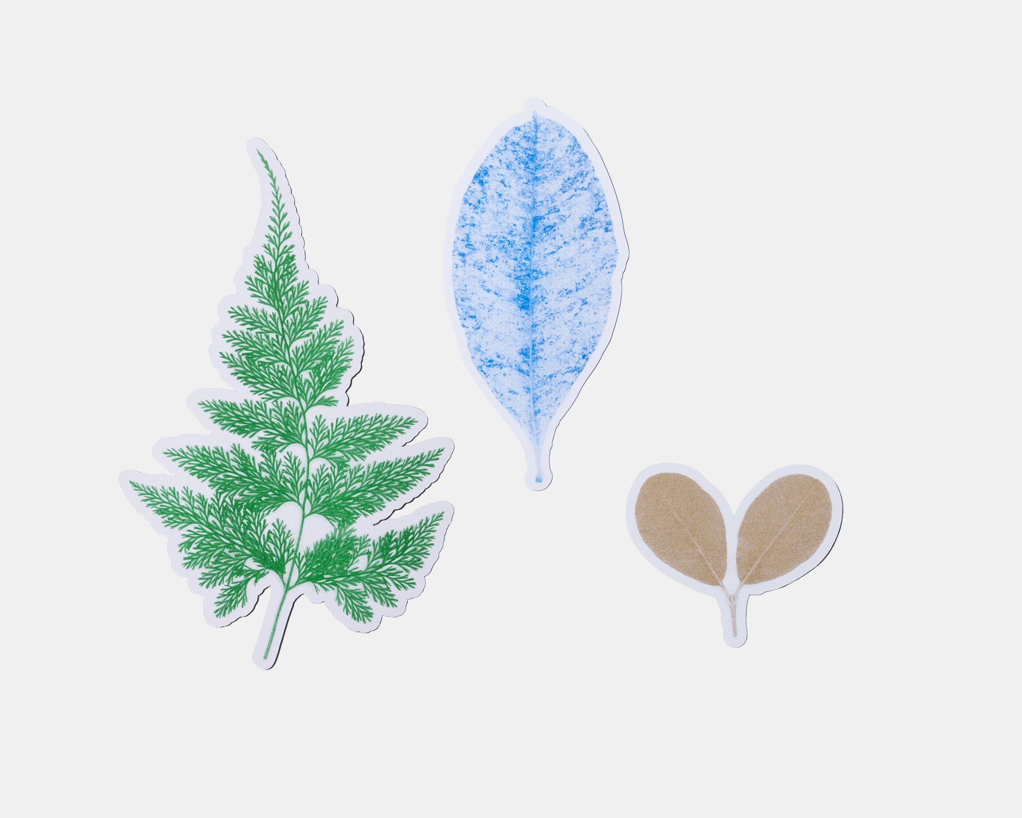 from leaf / カード B by SHOTARO TOKIOKA (9124590518437)