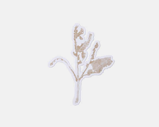 from leaf / カード C by SHOTARO TOKIOKA (9124590485669)
