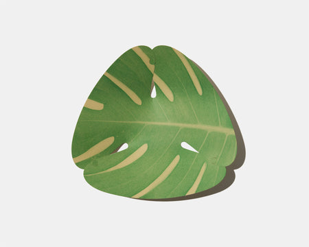 from leaf / トレー by SHOTARO TOKIOKA (9124590682277)